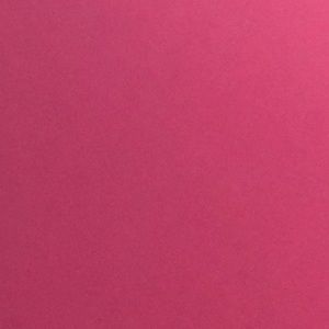 Meet your Posher, Neely